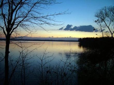 Photo of Others in Carp Lake