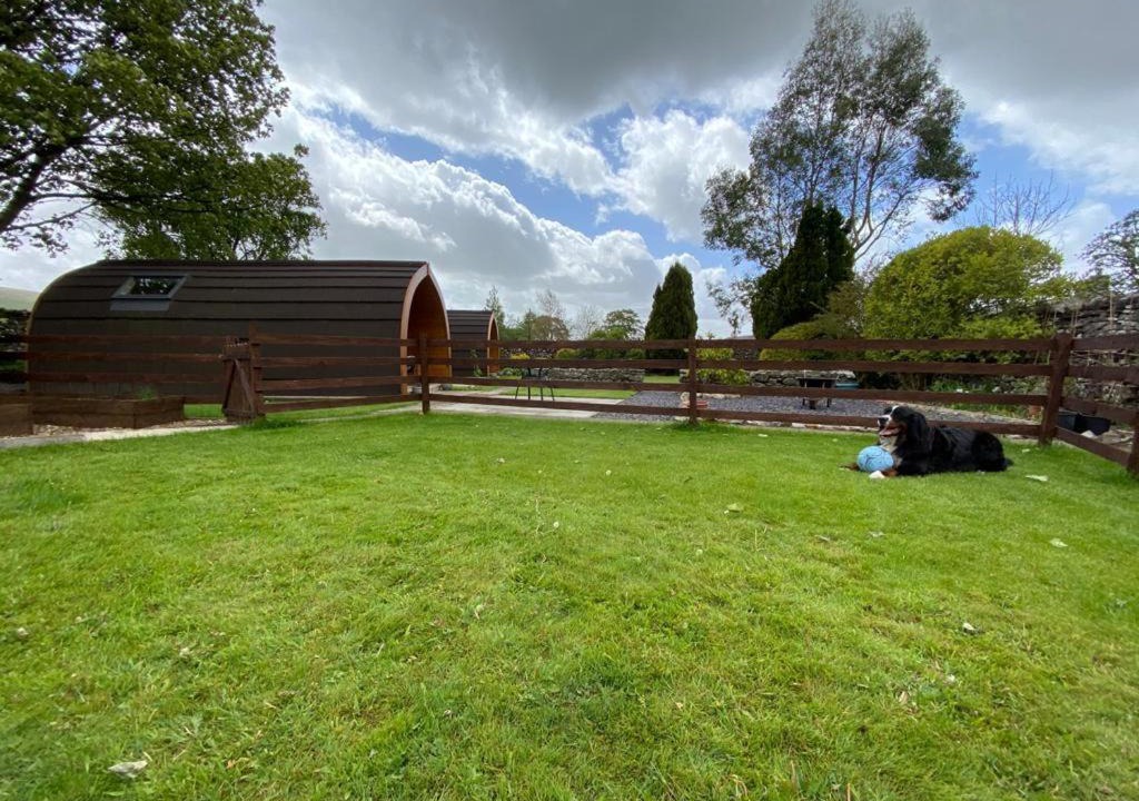 Photo of Others in Horton in Ribblesdale