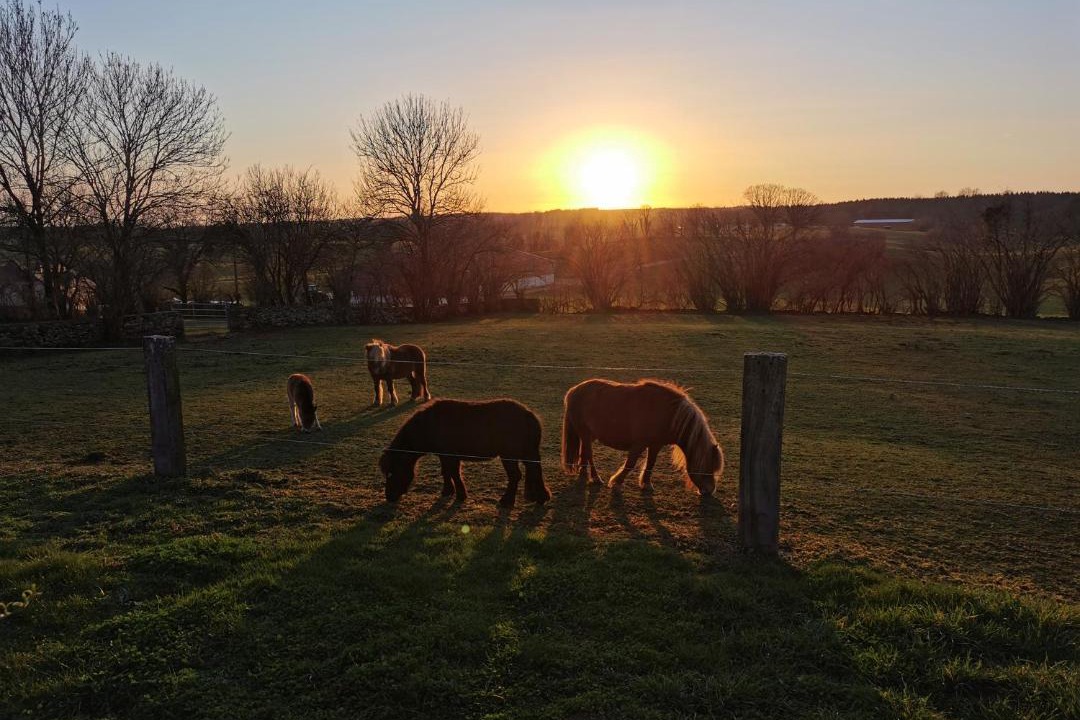 Photo of Others in Le Fied