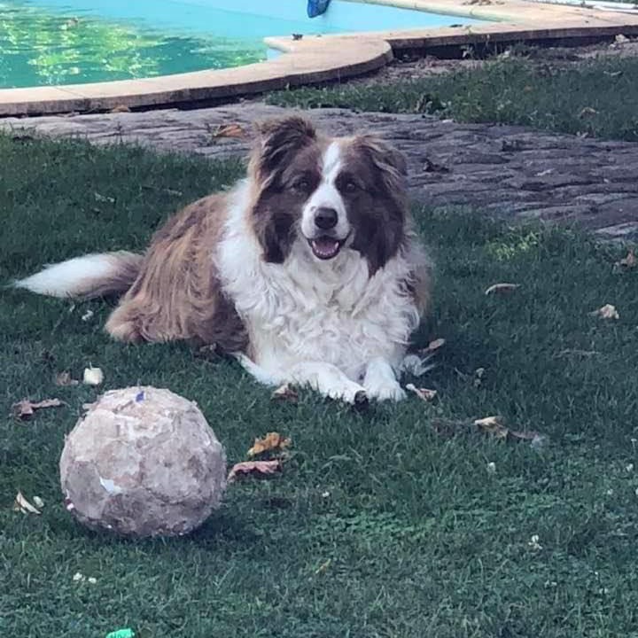 Photo of Others in Blaison-Saint-Sulpice