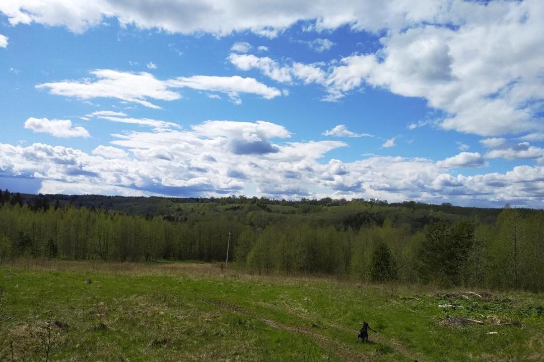 Photo of Outdoor in Bashkovo