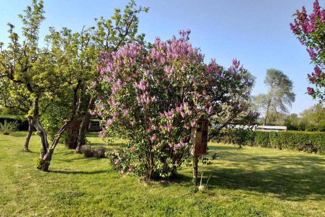 Photo of Outdoor in Audrehem