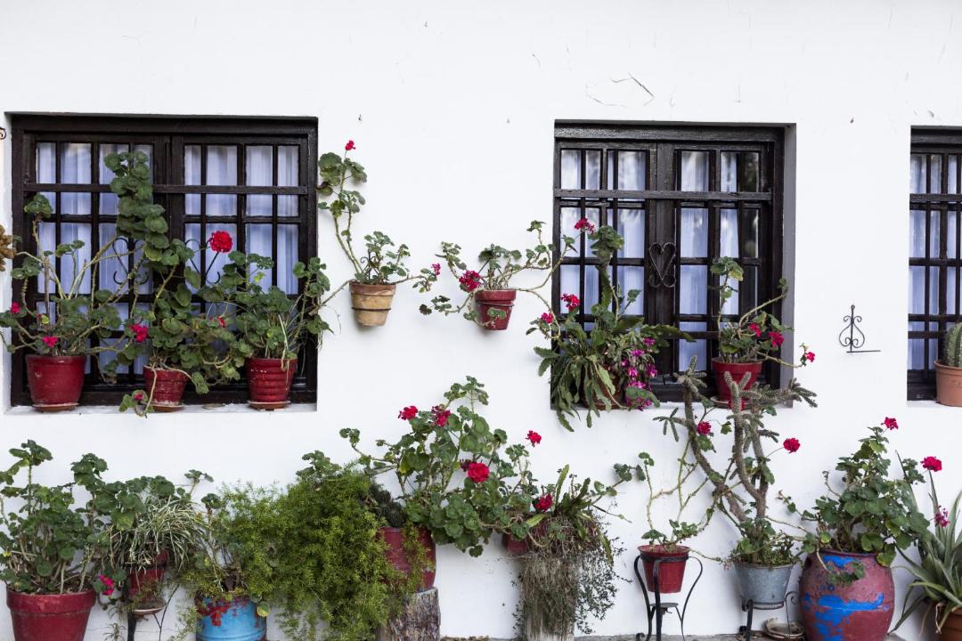 Photo of Others in Hondarribia Historic Center