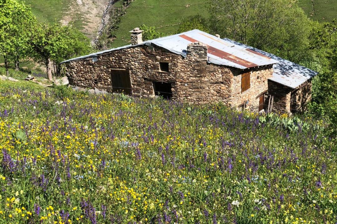 Photo of Buildings in Venosc
