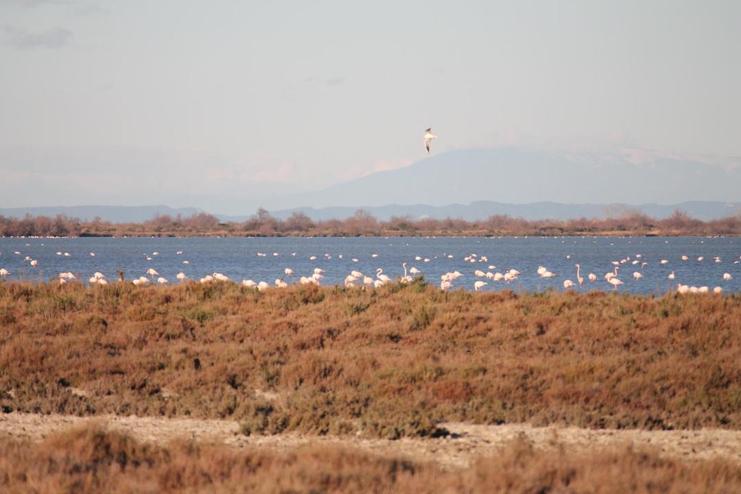 Photo of Others in Aubais
