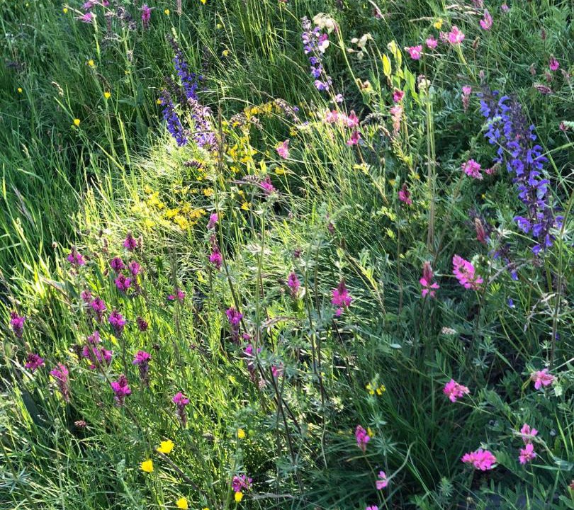 Photo of Outdoor in Venosc