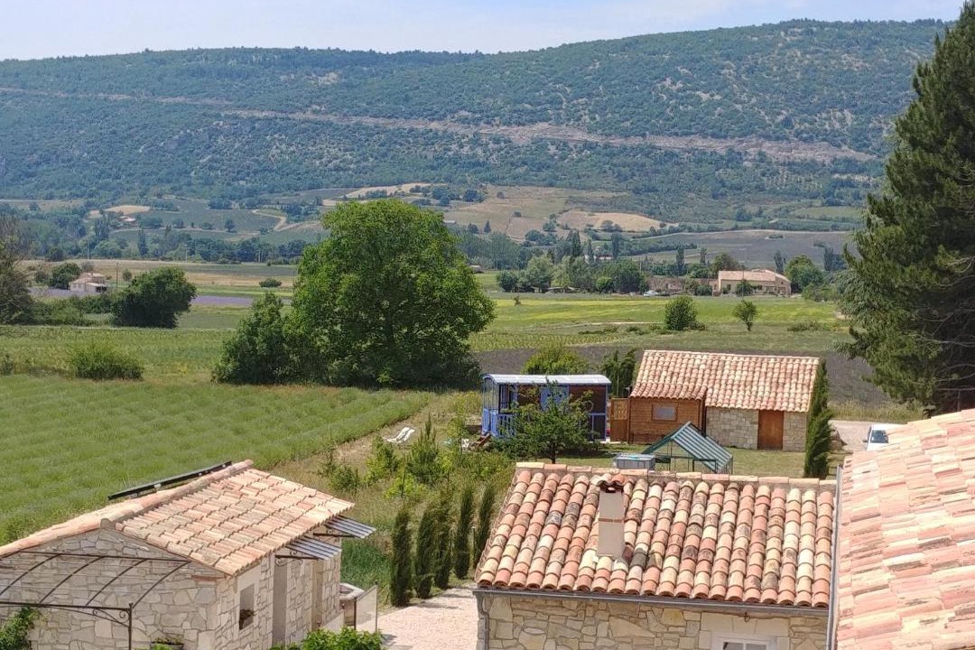 Photo of Buildings in Sault