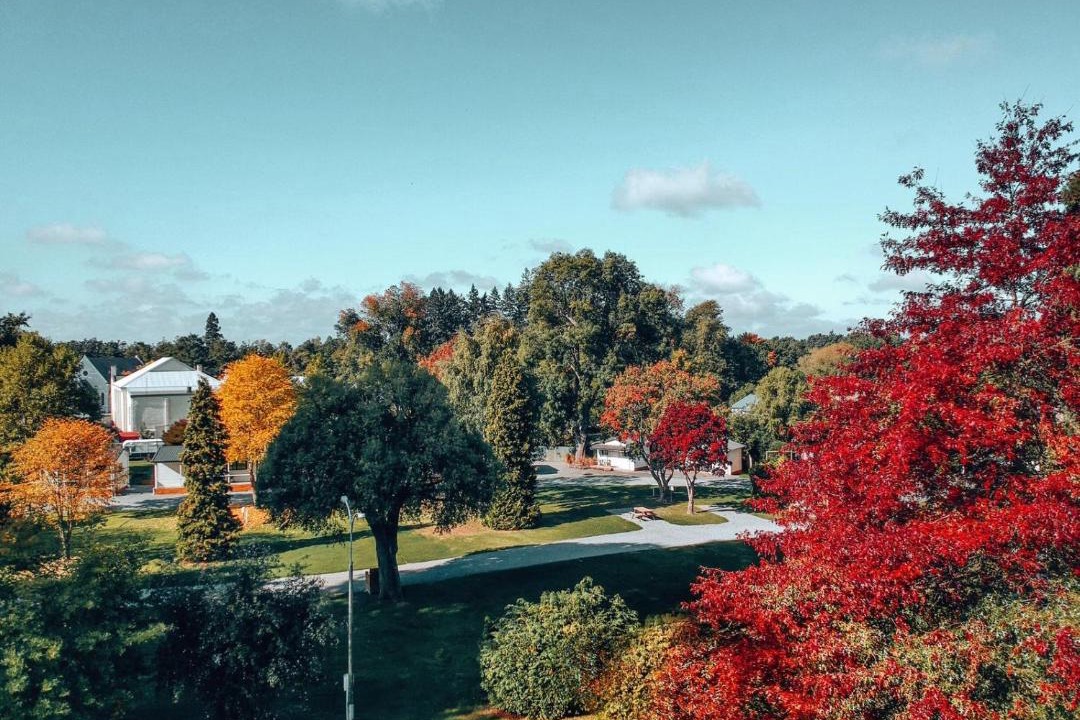 Photo of Others in Geraldine