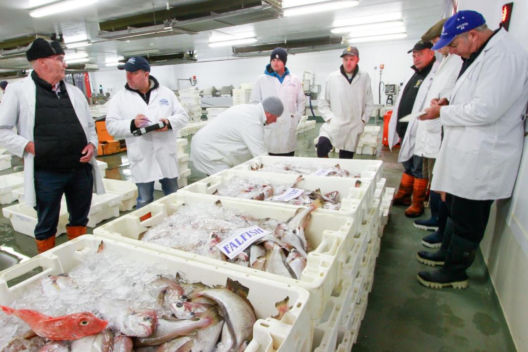 Photo of Human In Picture in Brixham