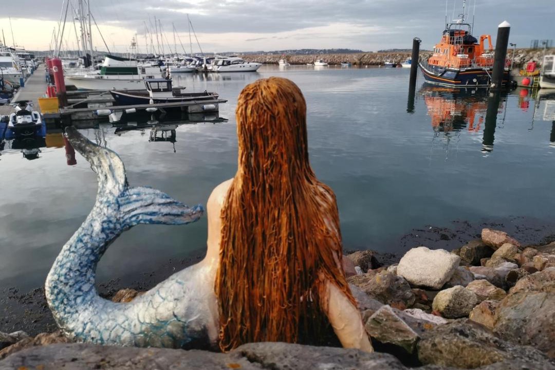 Photo of Others in Brixham