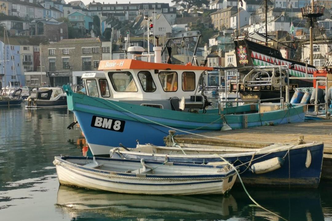 Photo of Others in Brixham