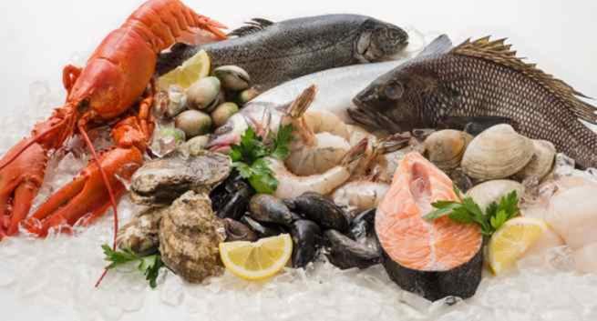 Photo of Others in Brixham