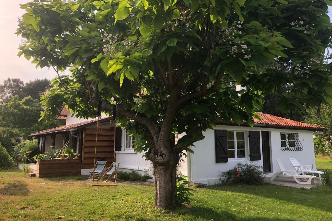 Photo of Others in Leon