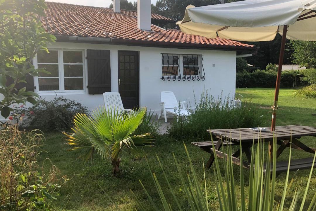 Photo of Others in Leon