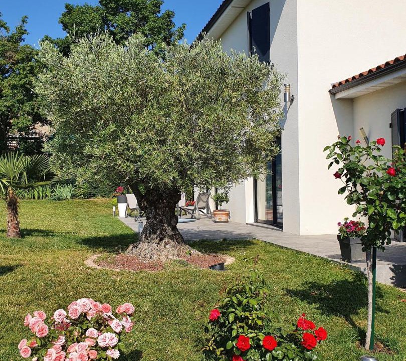 Photo of Others in Mornant