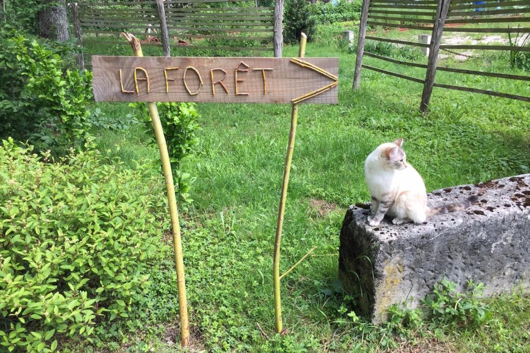 Photo of Outdoor in Semur-en-Auxois
