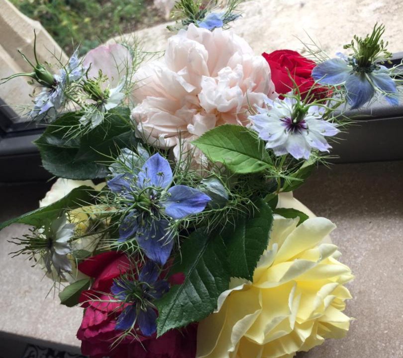 Photo of Others in Semur-en-Auxois