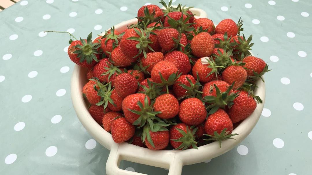 Photo of Others in Semur-en-Auxois