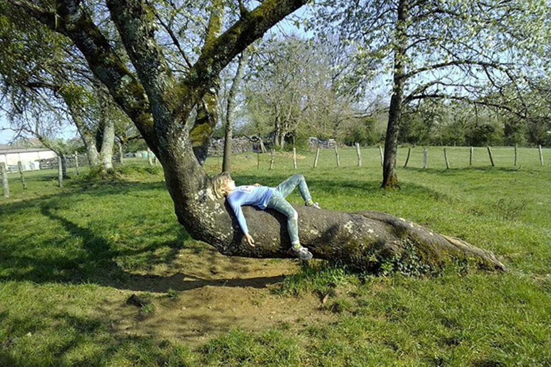 Photo of Others in Celles-en-Bassigny