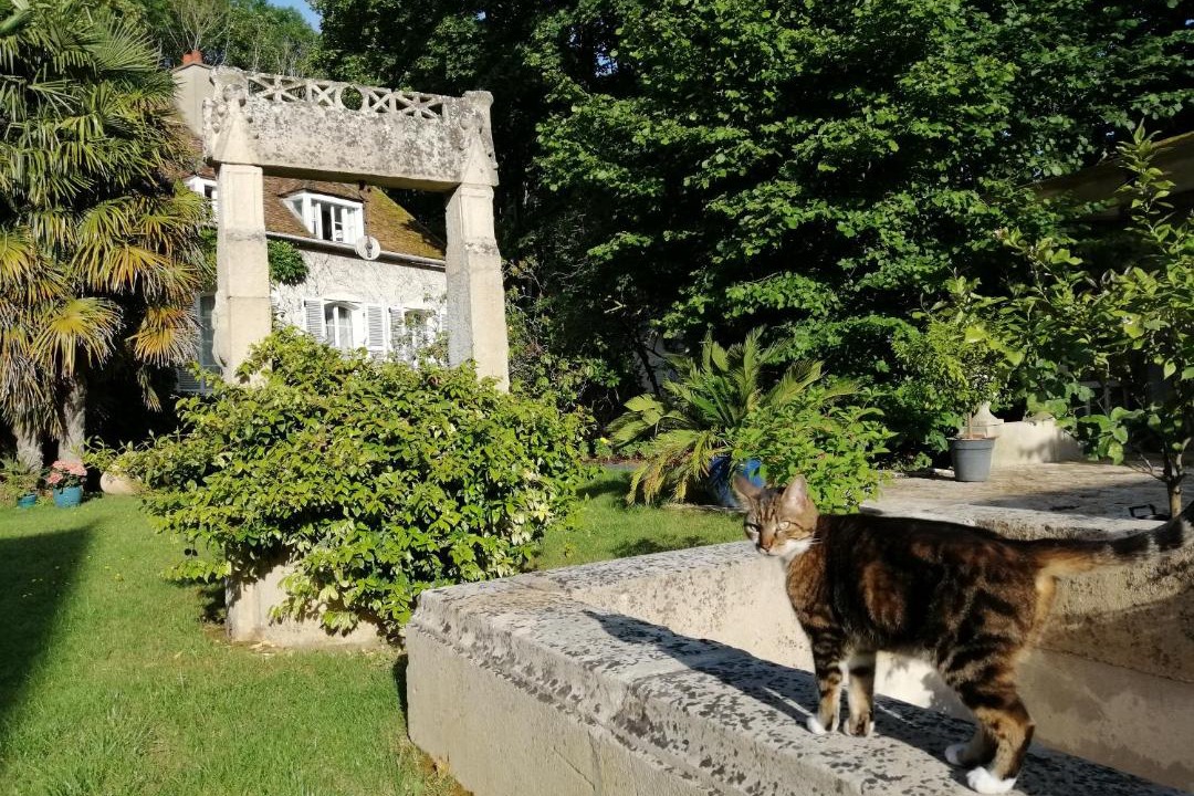 Photo of Others in Appoigny