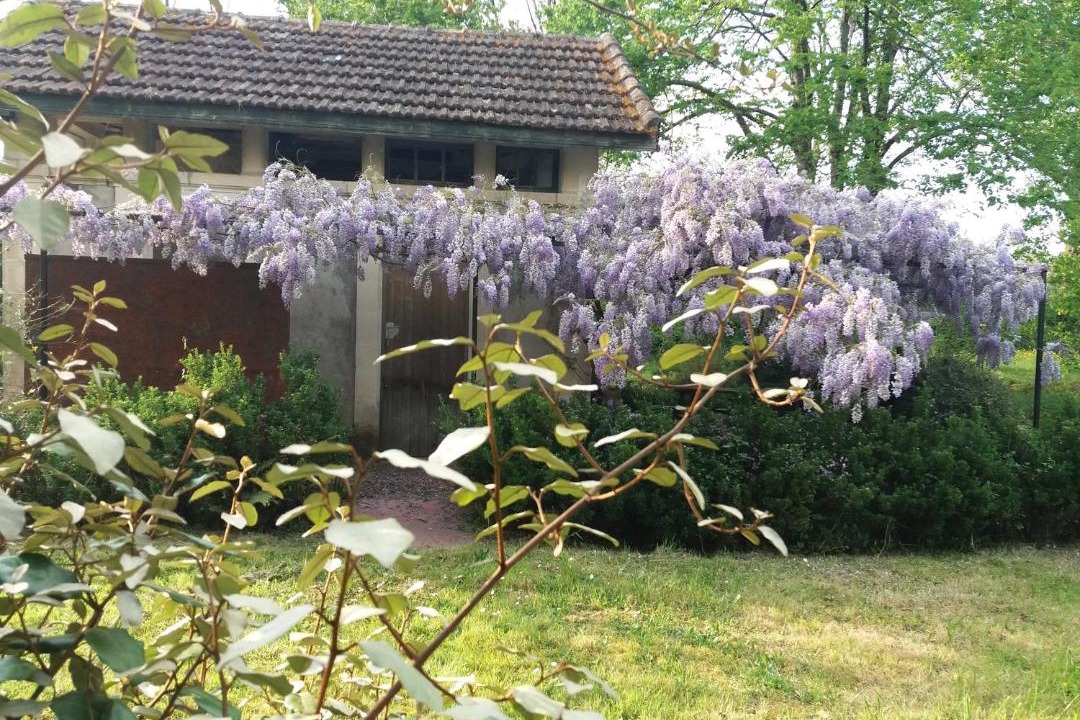 Photo of Others in Gamarde-les-Bains