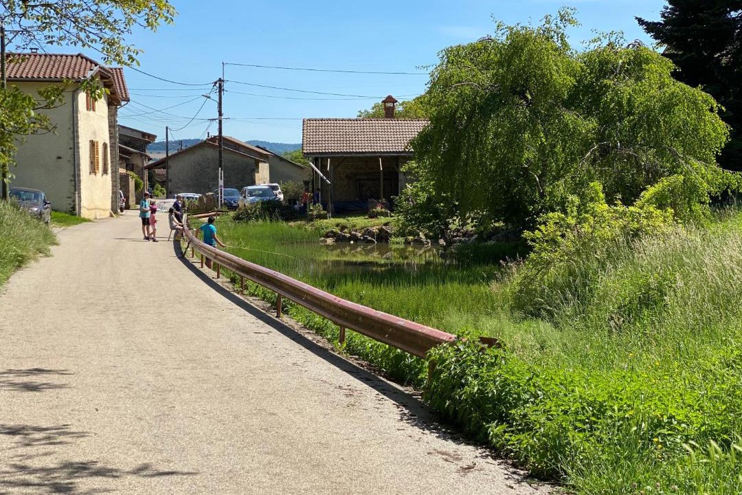 Photo of Others in Saint-Rambert-en-Bugey
