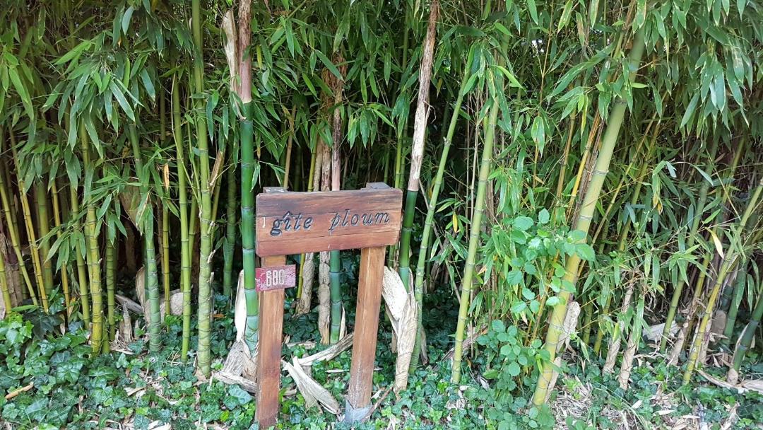 Photo of Others in Pouydesseaux