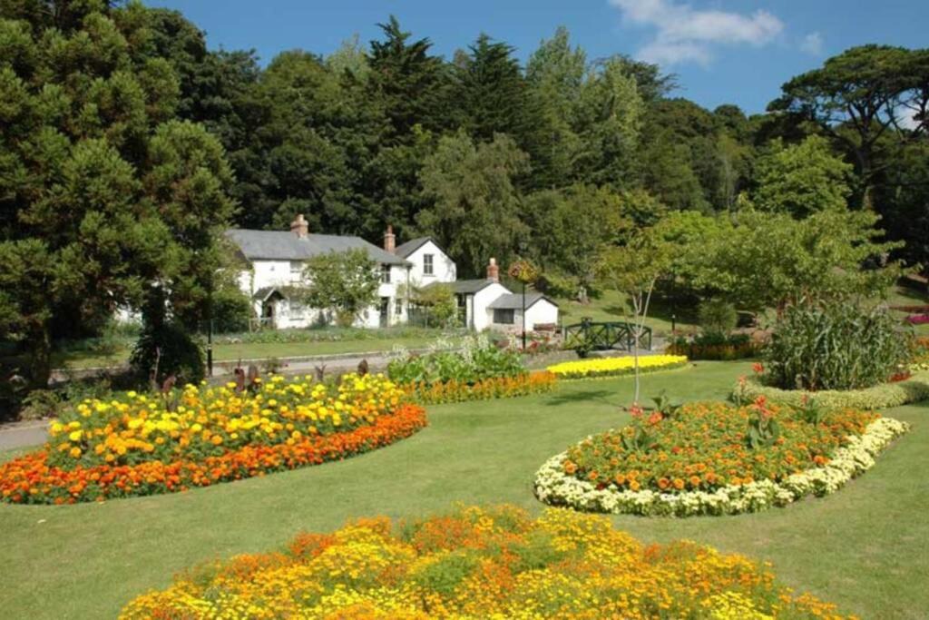 Photo of Others in Newquay City Centre