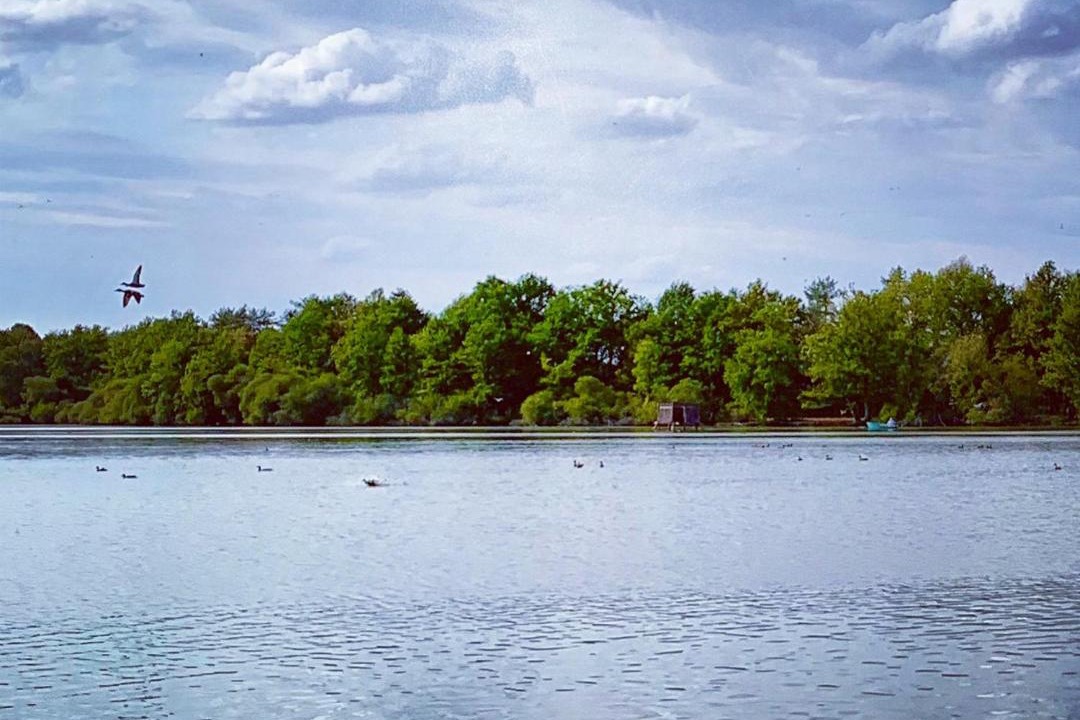 Photo of Others in Saint-Maurice-Etusson