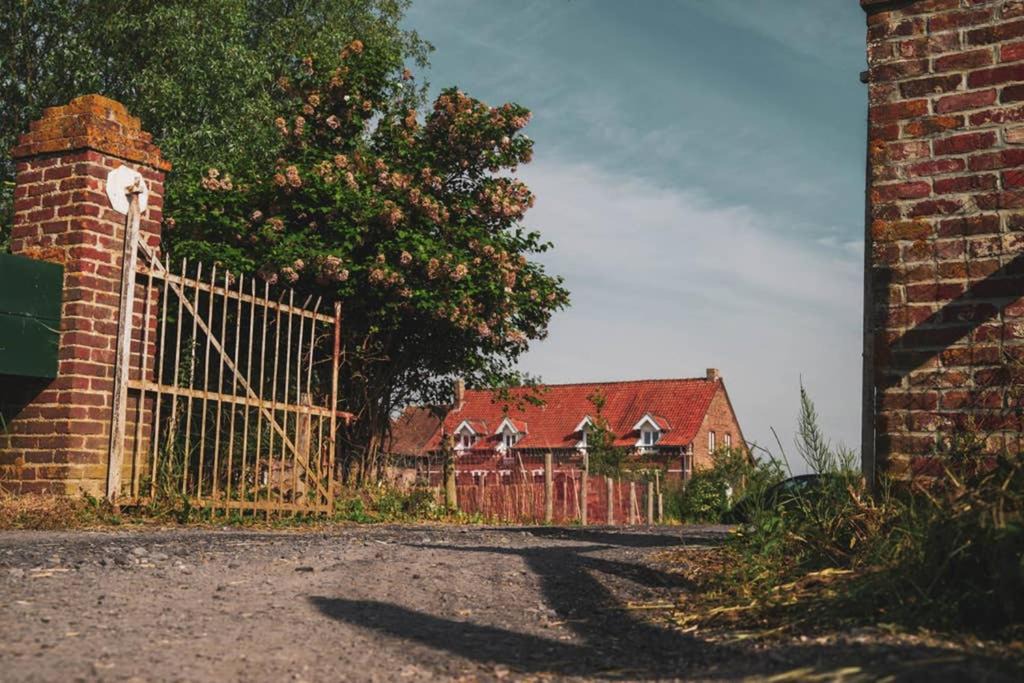 Photo of Others in Bailleul