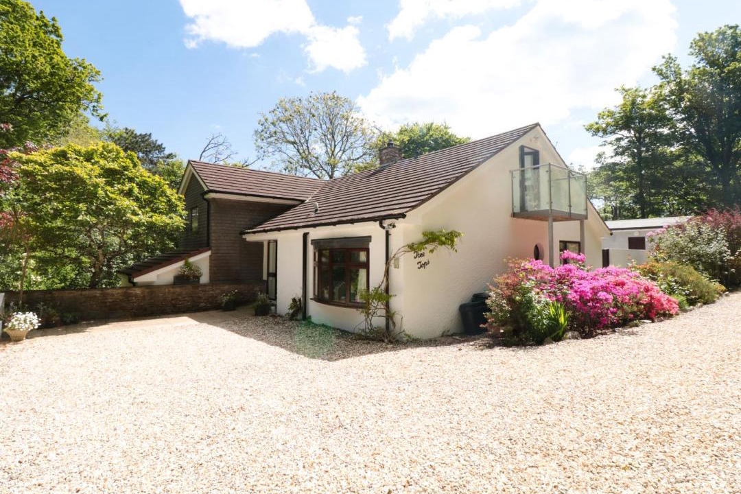 Photo of Others in Salcombe