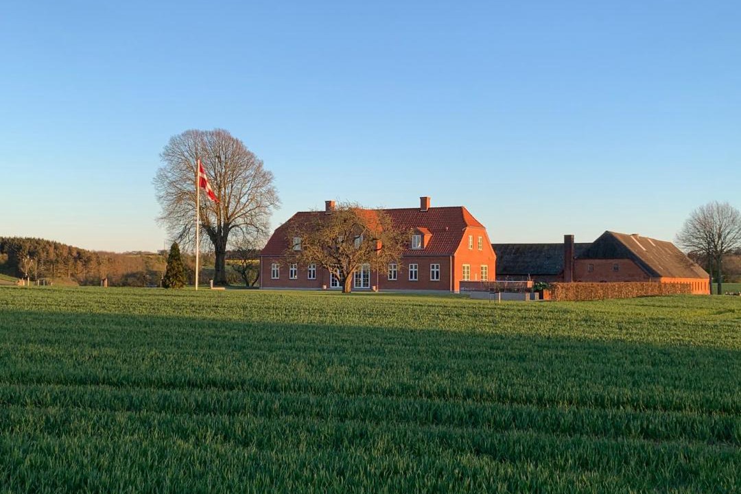 Photo of Others in Stouby