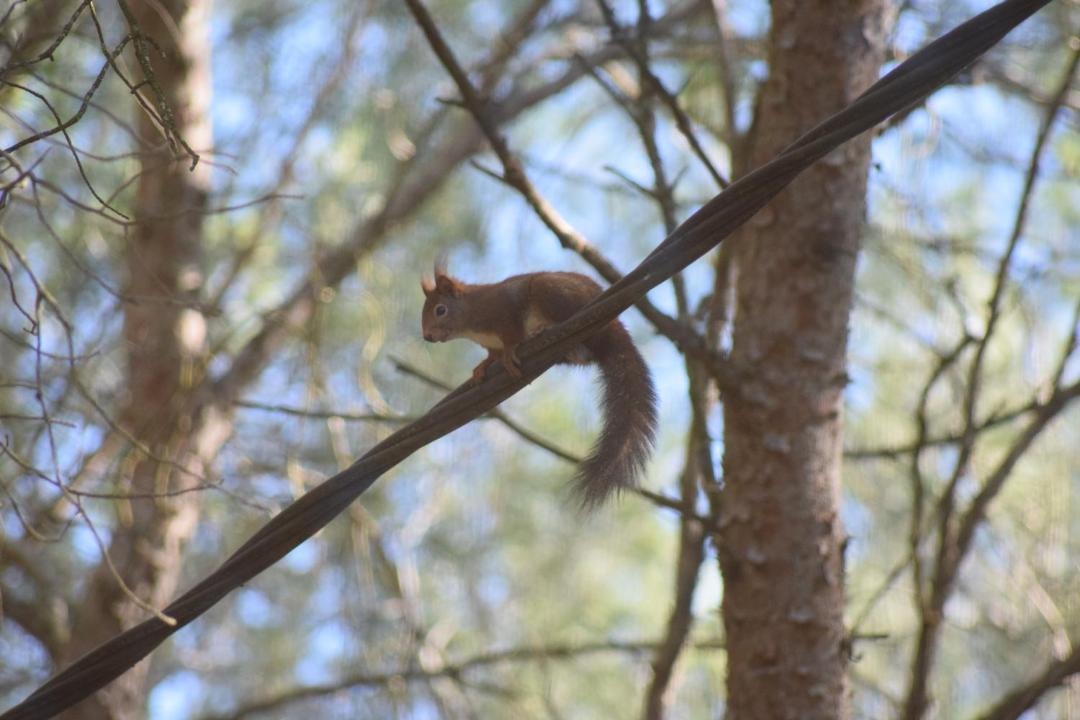 Photo of Outdoor in Lunel-Viel