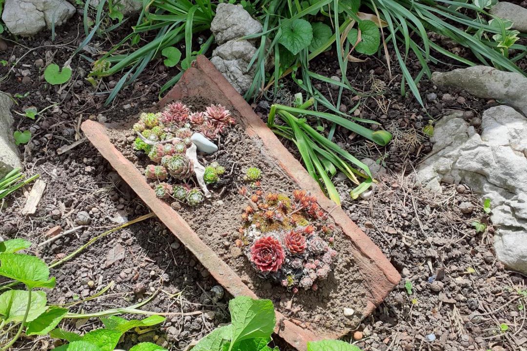 Photo of Outdoor in Beaucroissant