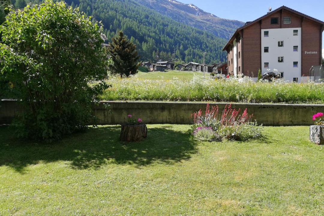 Photo of Others in Taesch