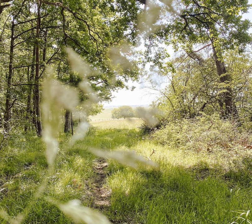 Photo of Others in Vendeuvre-sur-Barse