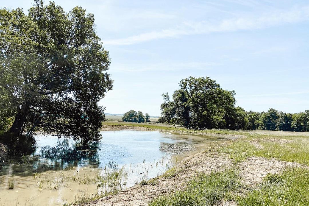 Photo of Others in Vendeuvre-sur-Barse
