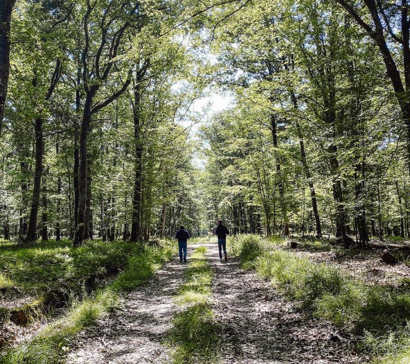 Photo of Others in Vendeuvre-sur-Barse