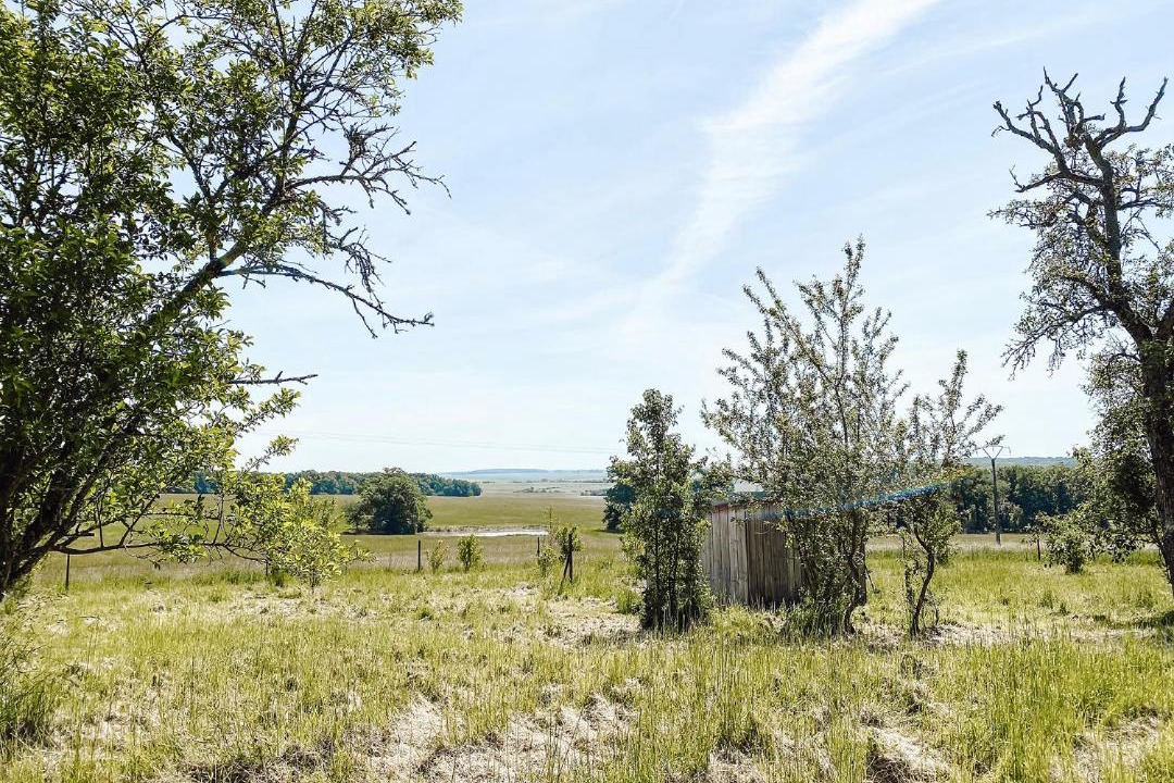 Photo of Others in Vendeuvre-sur-Barse