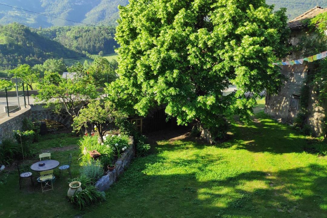 Photo of Others in Bayons