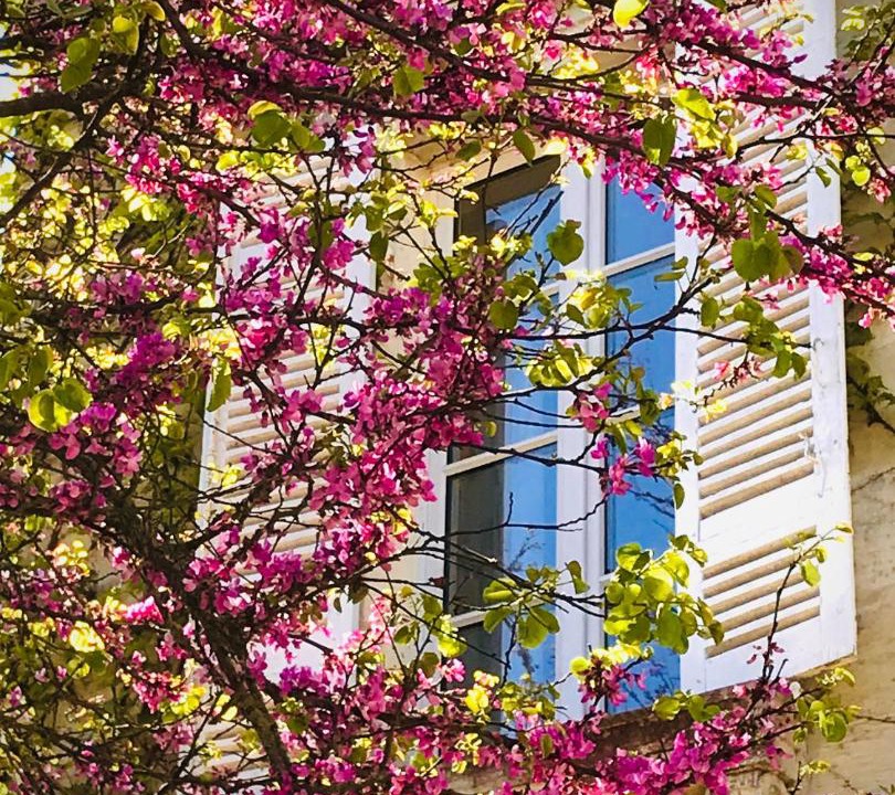 Photo of Others in Sainte-Bazeille