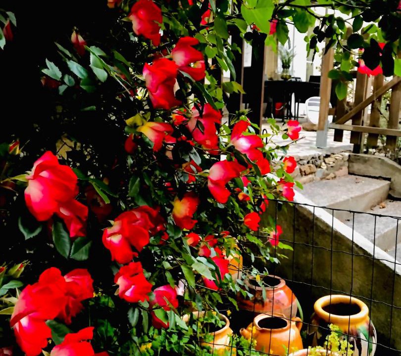 Photo of Patio Balcony in Sainte-Bazeille