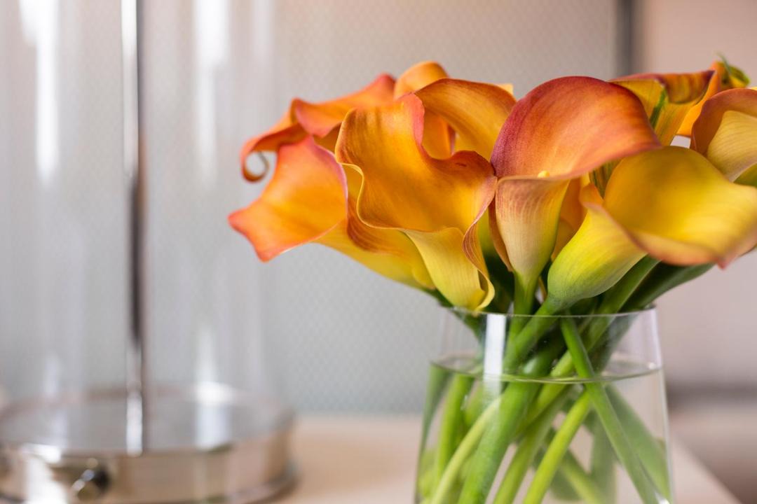 Photo of Others in Midtown