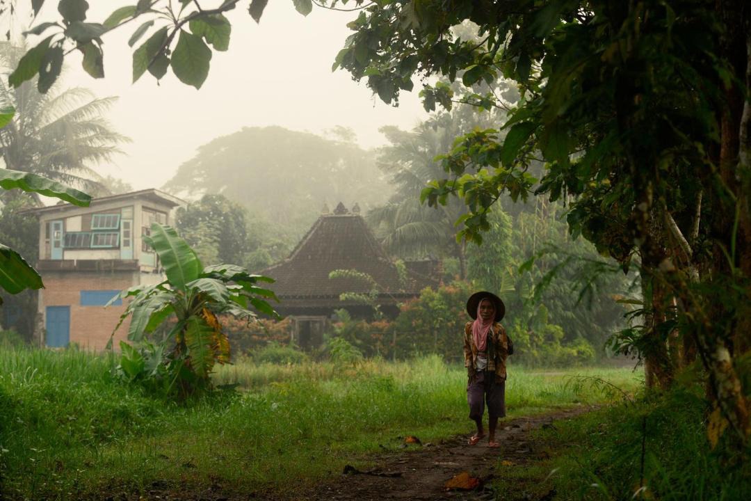 Photo of Others in Balangan