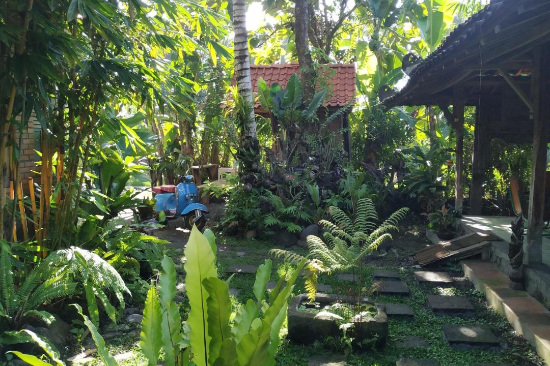 Photo of Others in Balangan