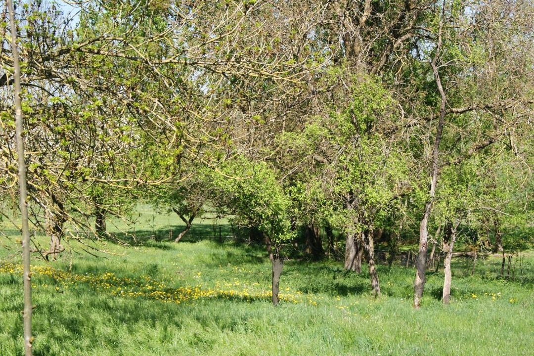 Photo of Outdoor in Berling