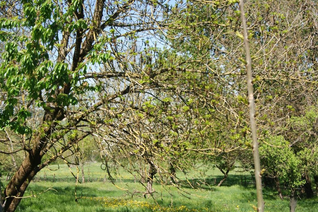 Photo of Others in Berling