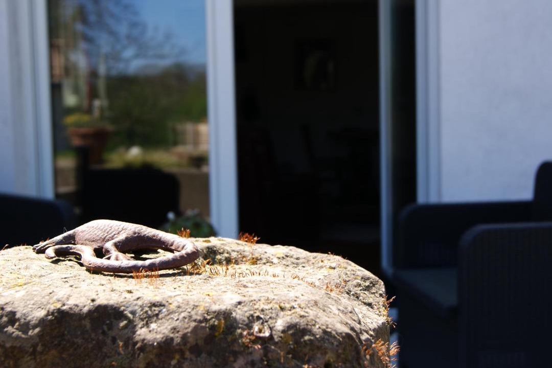 Photo of Others in Berling