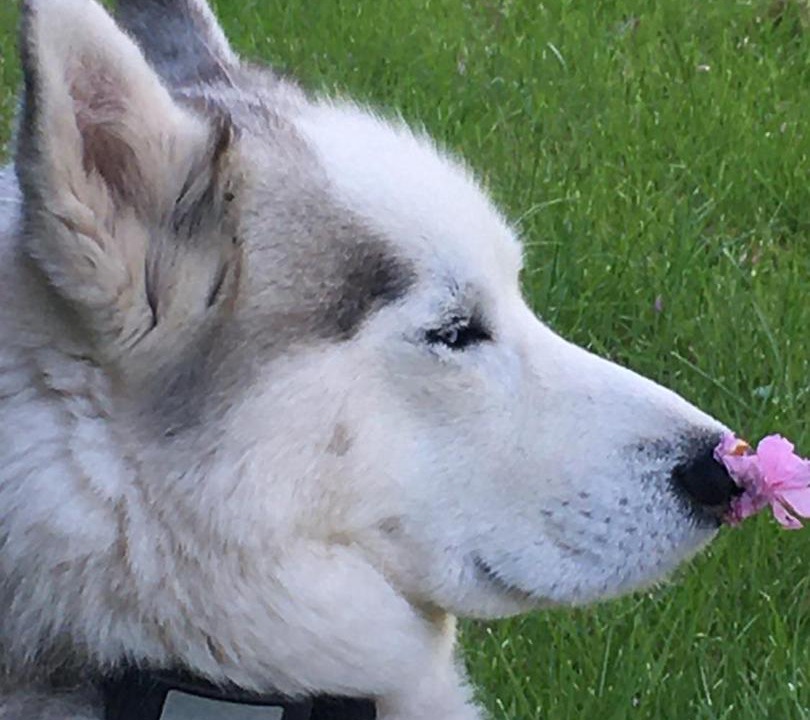 Photo of Others in Fontenille-Saint-Martin-d'Entraigues