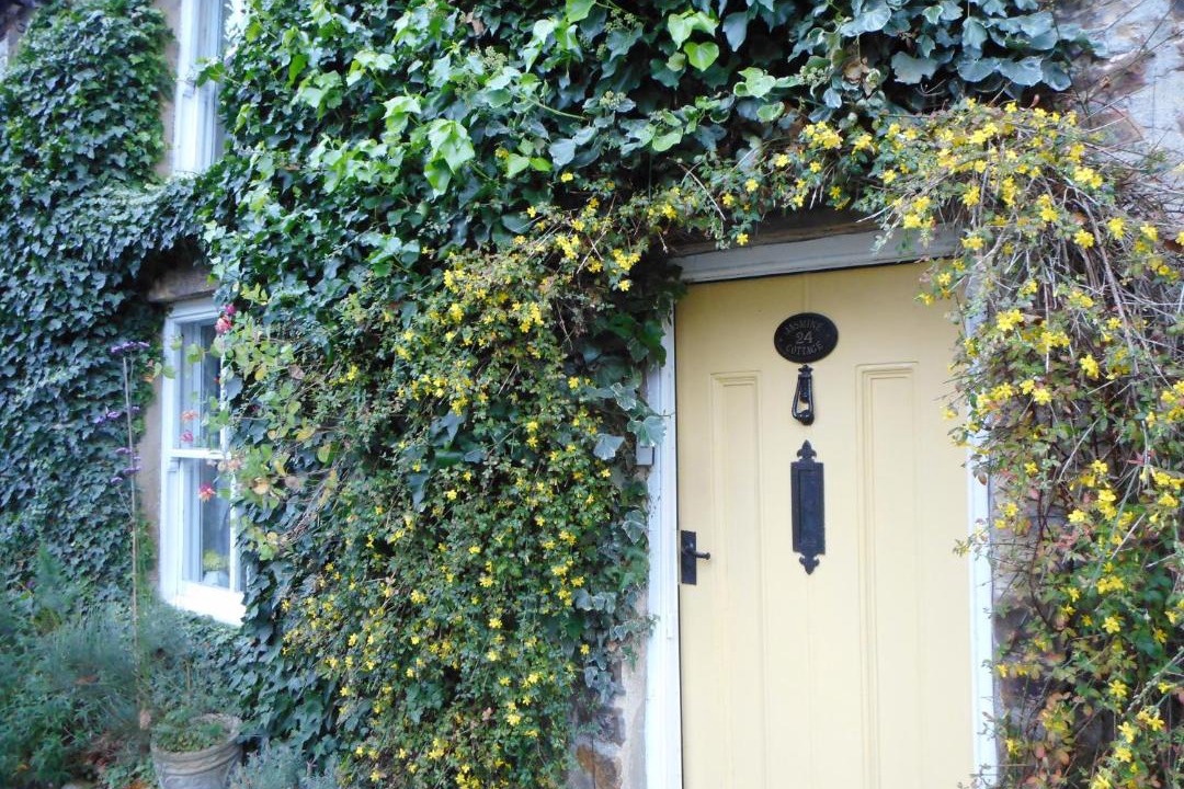 Photo of Buildings in Richmond